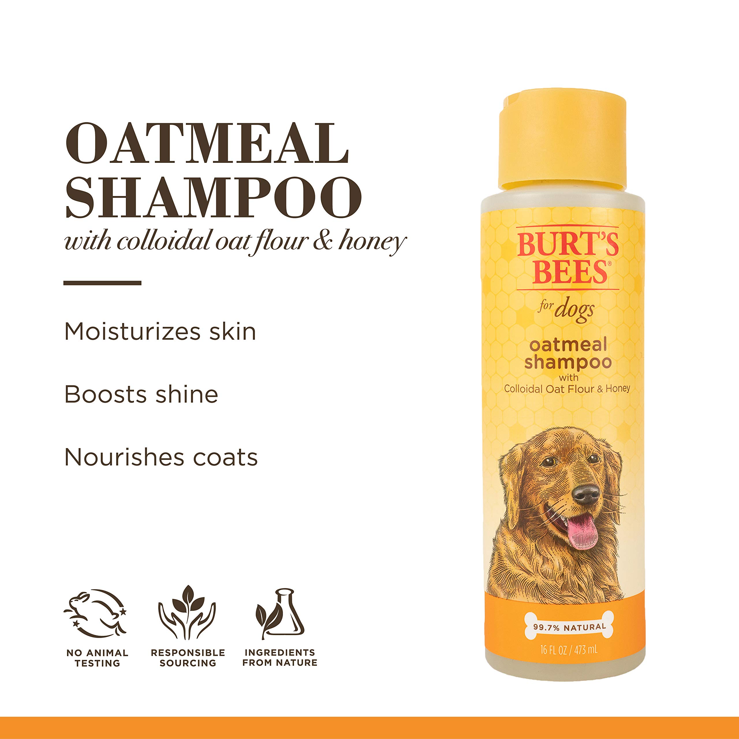 Amazon | Burt's Bees for Dogs All-Natural Oatmeal Shampoo with